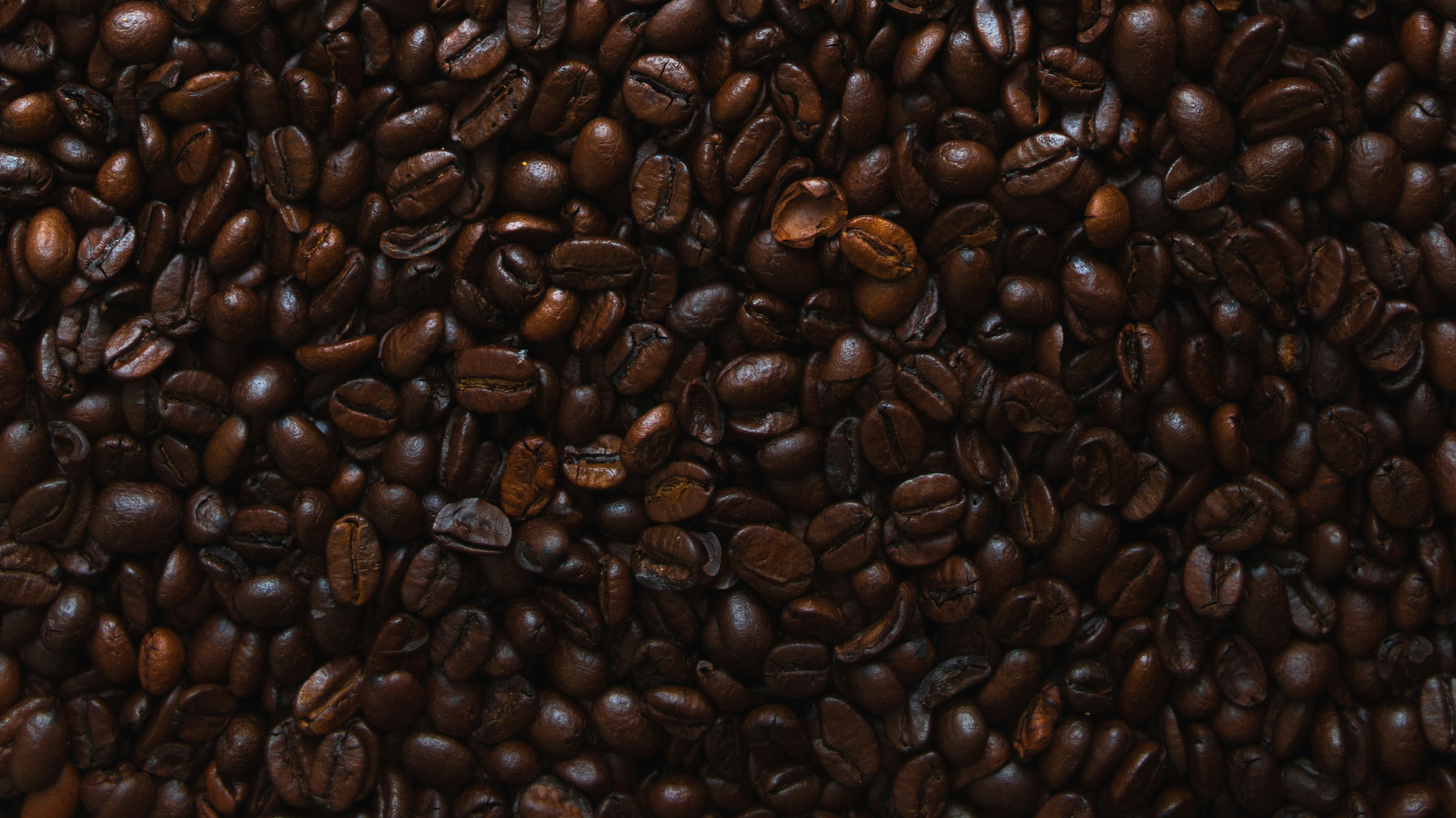 The Origin of Coffee: A Journey Through History, Tradition, and Evolution