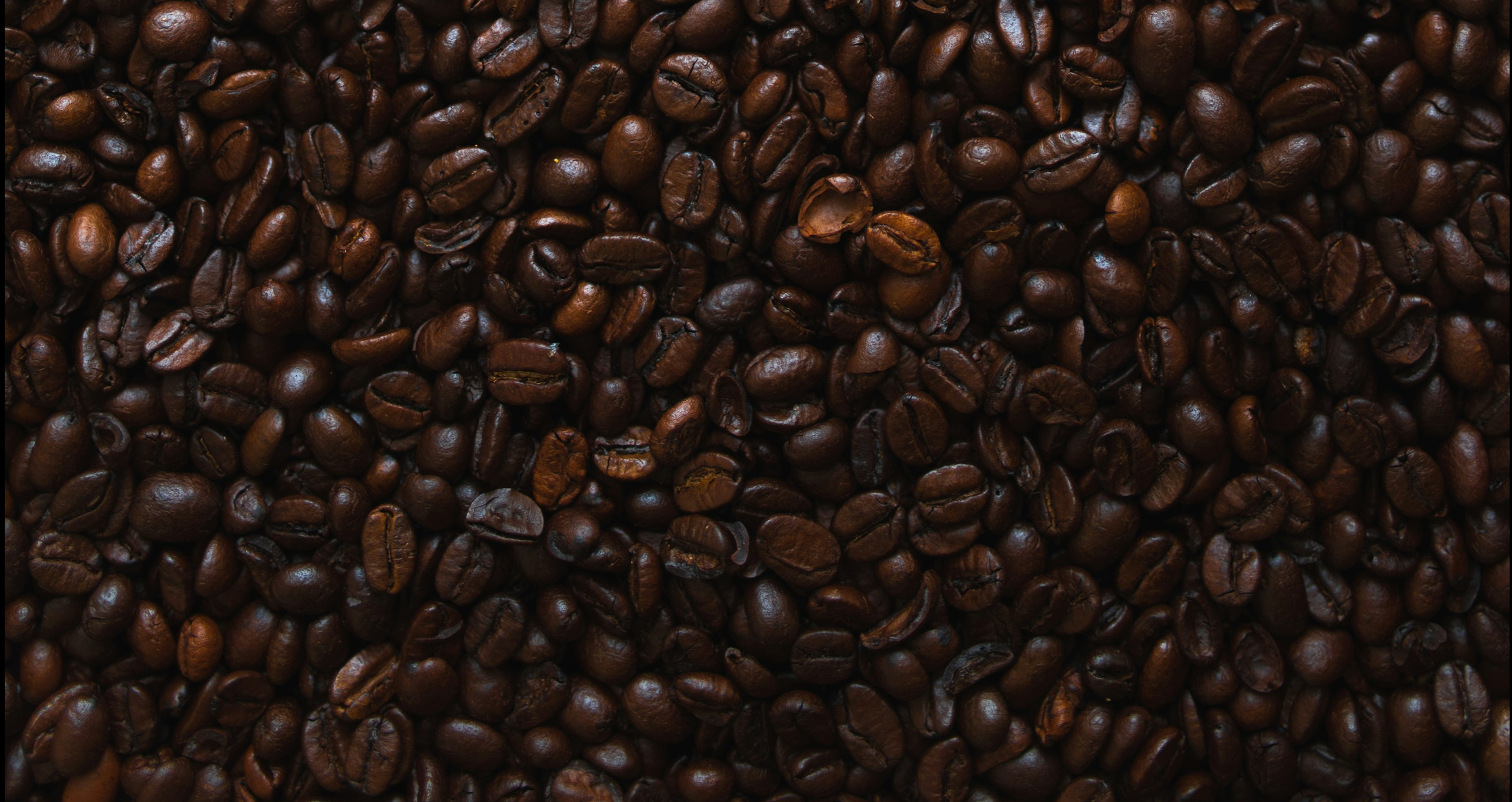 The Origin of Coffee: A Journey Through History, Tradition, and Evolution