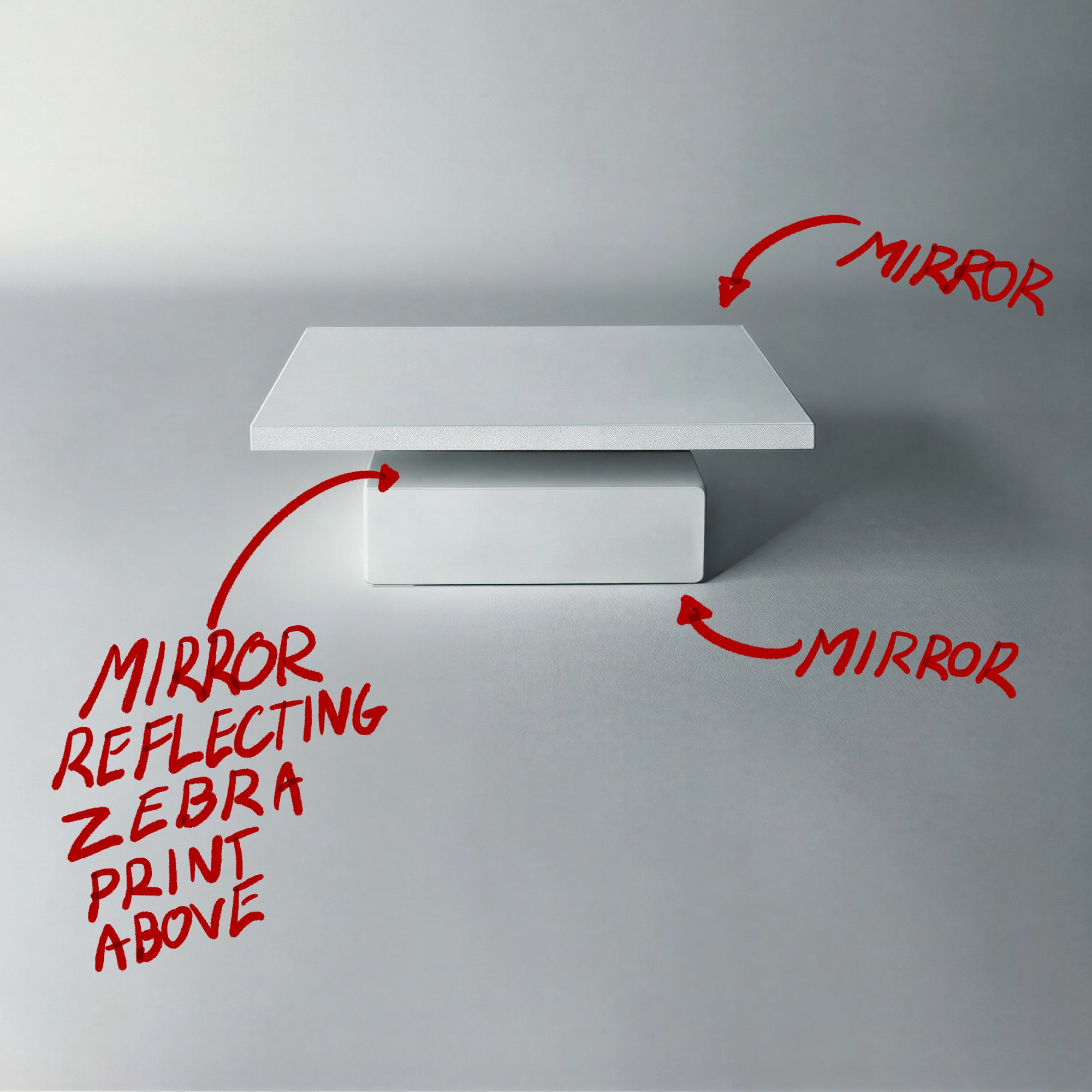 Annotated concept study showing mirror surfaces and reflected zebra underside